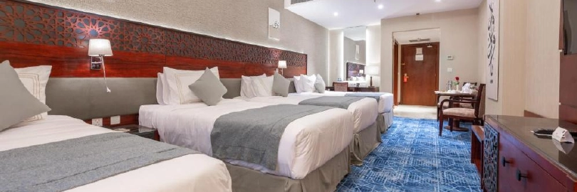 SHAZA REGENCY PLAZA Hotel — photo 5